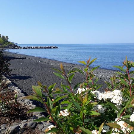 Pasa Tatil Koeyue Akçaabat Dış mekan fotoğraf